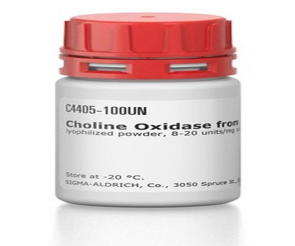 COLIN OXIDASA DE ARTHROBACTER & pack 1X100UN