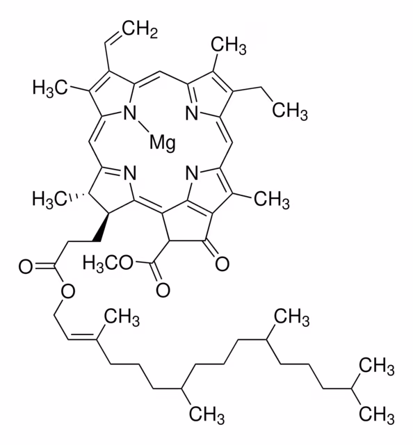 CLOROFILA A DE ESPINACAS pack 1X5MG