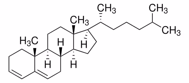 COLESTA-3,5-DIENE, >=93% (HPLC) paquete 1X100MG
