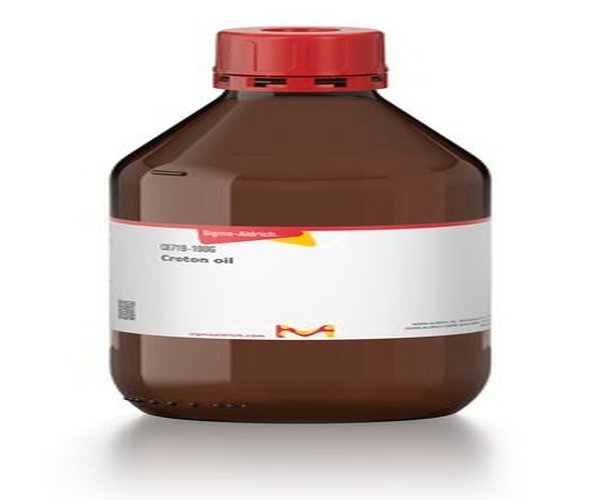 ACEITE DE CROTON pack 1X100G