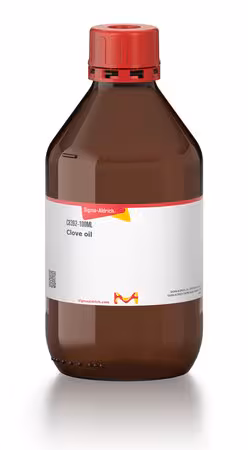 ACEITE DE CLAVO pack 1X100ML