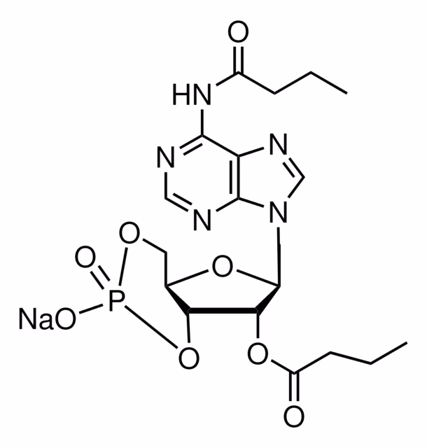 N6,2'-O-DIBUTIRILADENOSINA 3':5'-CÍCLICO& pack 1X25MG