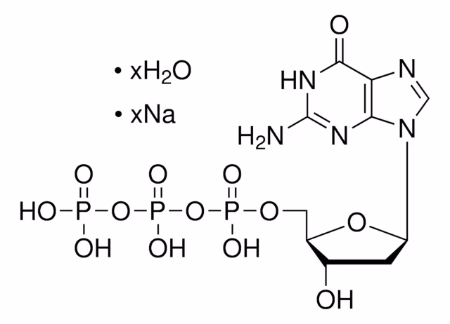2'-DESOXIGUANOSINA 5'-TRIFOSFATO SÓDICO pack 1X1G