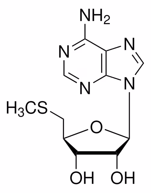5'-DESOXI-5'-METILTIOADENOSINA pack 1X25MG