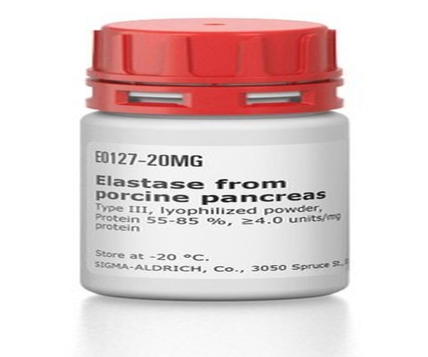 ELASTA PANCREÁTICA TIPO III DE PORCI pack 1X20MG