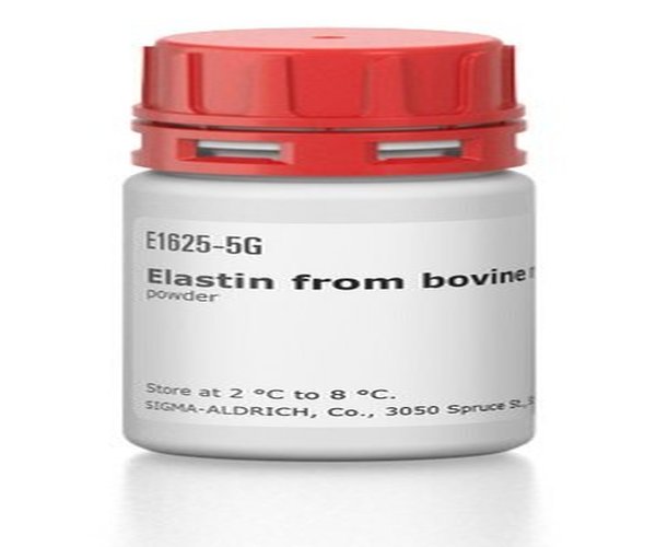 ELASTINA DEL LIGAMENTO DEL CUELLO BOVINO pack 1X5G