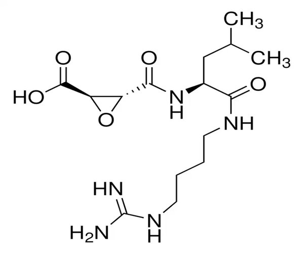TRANS-EPOXYSUCCINIL-L-LEUCILAMIDO-(4- y paquete 1X5MG