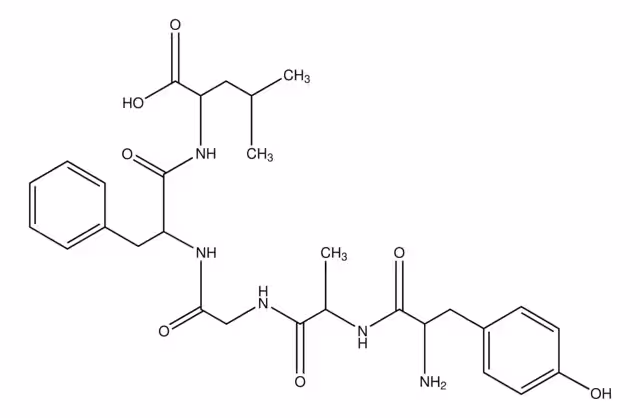 (D-ALA2)-LEUCINA ENKEFALINA pack 1X5MG