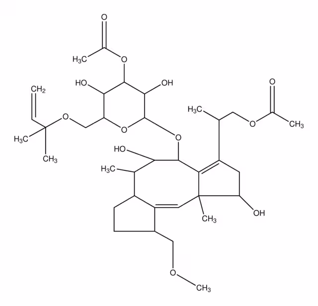 FUSICOCCINA DE FUSICOCCUM AMYGDALI& pack 1X1MG