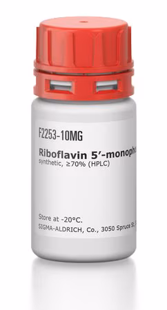 RIBOFLAVINA 5'-MONOFOSFATO SÓDICO& pack 1X25MG