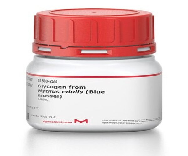 GLUCÓGENO DE MYTILUS EDULIS (BLUE MUSS pack 1X25G