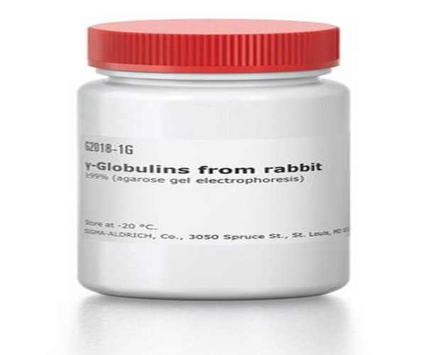 GAMMA-GLOBULINAS DE CONEJO pack 1X1G