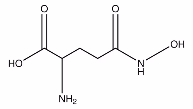 ÁCIDO L-GLUTÁMICO GAMMA MONOHIDROXAMATO pack 1X100MG