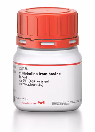 GAMMA-GLOBULINAS DE SANGRE BOVINA pack 1X1G