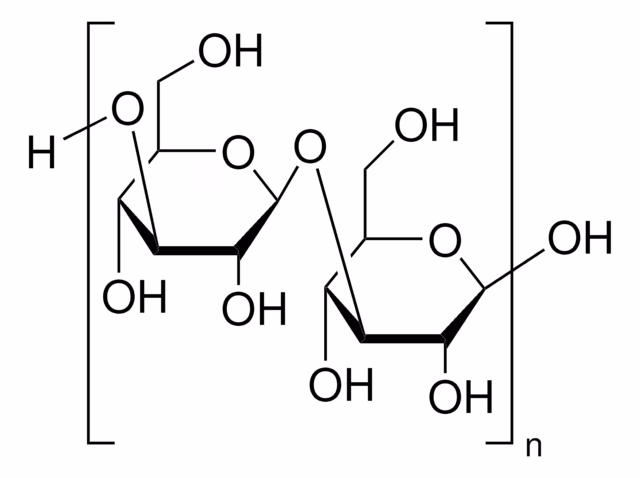 BETA-D-GLUCAN DE CEBADA, >=95% (HPLC) pack 1X50MG