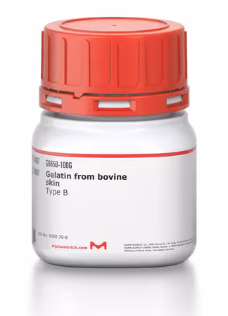 GELATINA TIPO B DE PIEL BOVINA APROX.& pack 1X100G