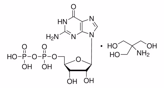 GUANOSINA 5'-DIFOSFATO TRIS TIPO VI pack 1X25MG
