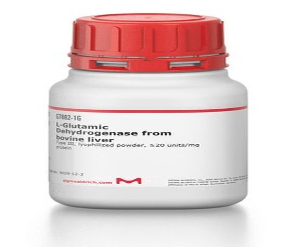DESHIDROGENASA GLUTÁMICA DE HÍGADO BOVINO pack 1X100MG