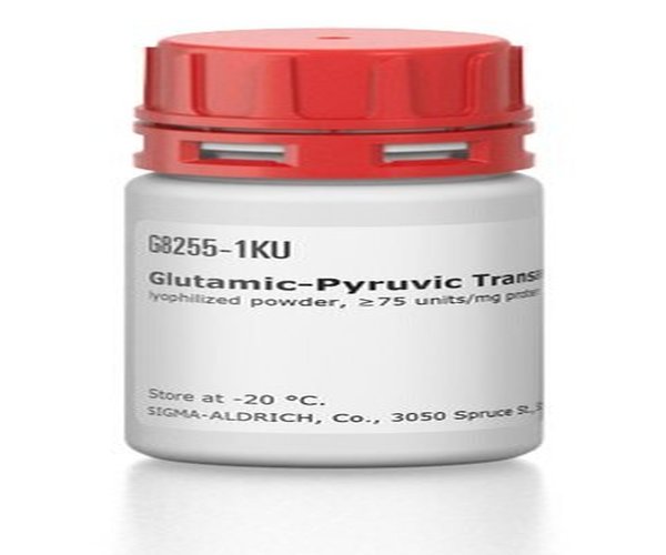TRANSAMINASA GLUTÁMICO-PIRÚVICA DE & pack 1X200UN
