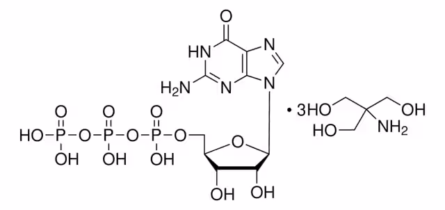 SAL TRIS DE GUANOSINA 5'-TRIFOSFATO& pack 1X500MG