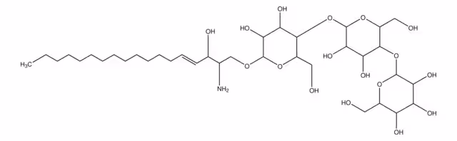 GLOBOTRIAOSILSPINGOSINA DE PORCINO B& pack 1X1MG