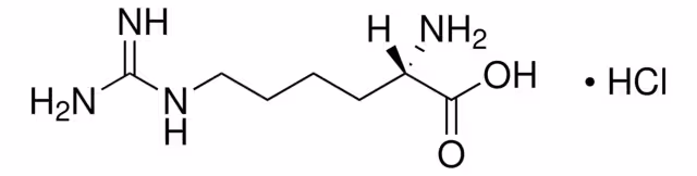 CLORHIDRATO DE L-HOMOARGININA NO NATURAL& pack 1X5G