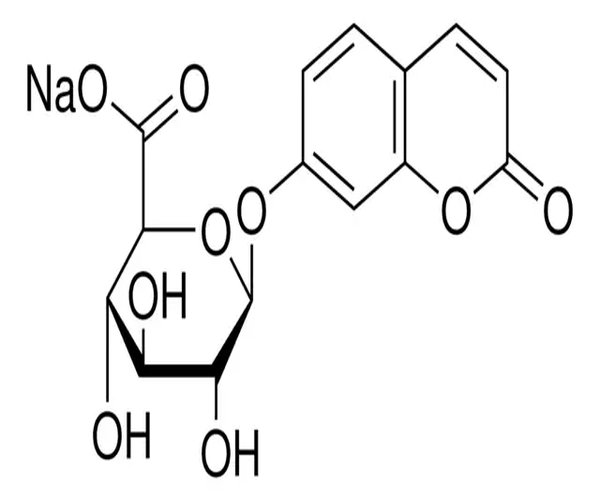 7-HIDROXICOCUMARINA B-D-GLUCURÓNIDO, y paquete 1X1MG