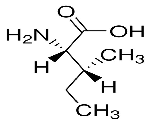 L-ALO-ISOLEUCINA pack 1X1G