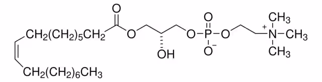 1-OLEOYL-SN-GLICERO-3-FOSFOCOLINA& pack 1X5MG
