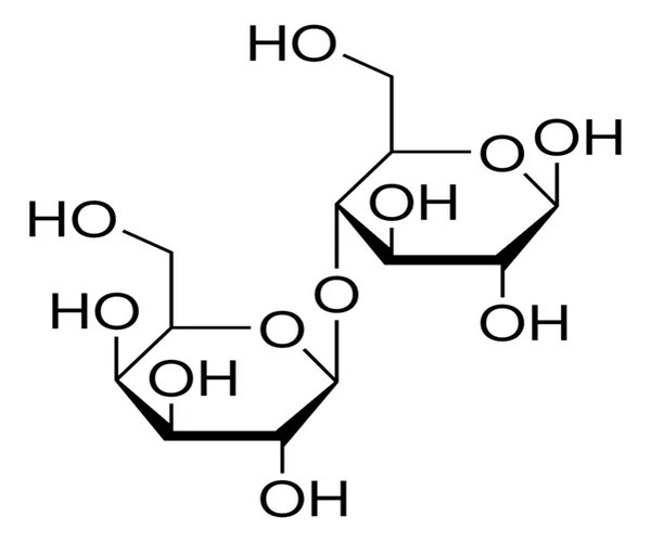 B-LACTOSA pack 1X100G