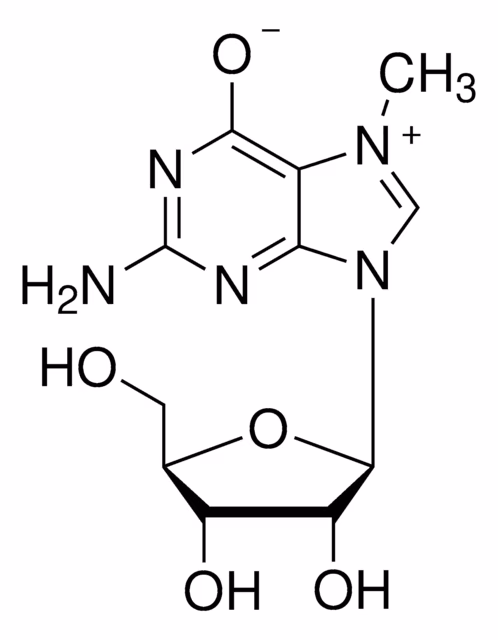 7-METILGUANOSINA pack 1X250MG