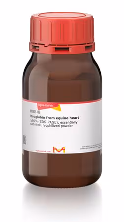 MIOGLOBINA DEL CORAZÓN EQUINO pack 1X250MG