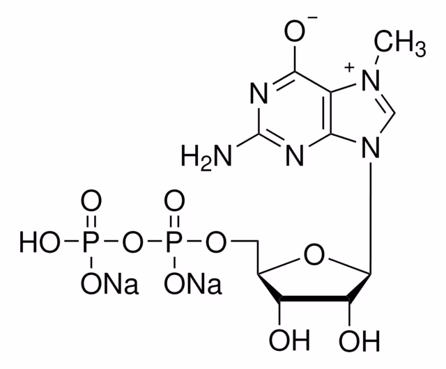 7-METILGUANOSINA 5'-DIFOSFATO SÓDICO pack 1X10MG