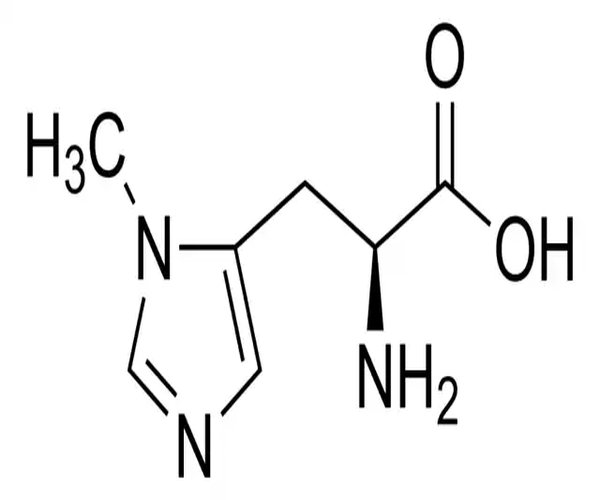 3-METIL-L-HISTIDINA pack 1X1G