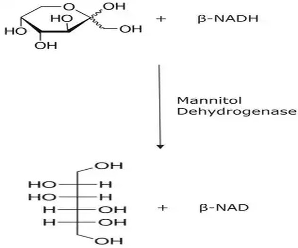 MANITOL DESHIDROGENASA DE LEUCONOSTOC& pack 1X50UN
