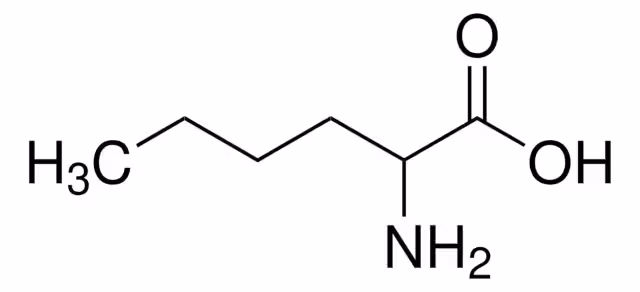 DL-NORLEUCINA pack 1X5G