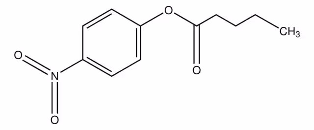 P-NITROFENILO VALERATO pack 1X10G