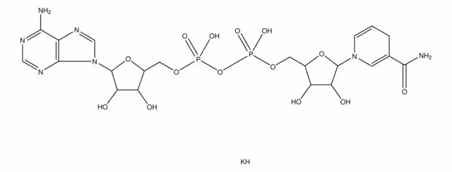 B-NAD DIPOTASIO FORMA REDUCIDA pack 1X1G