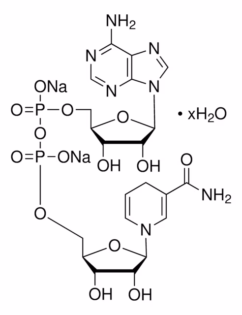B-NICOTINAMIDA ADENINA DINUCLEOTIDA, y pack 1X1G