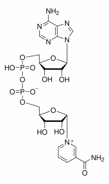 A-NICOTINAMIDA ADENINA DINUCLEOTIDA paquete 1X25MG