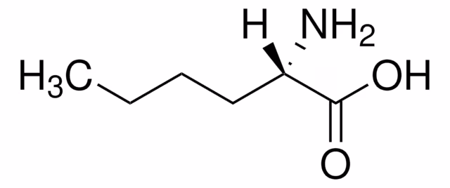L-NORLEUCINA pack 1X5G