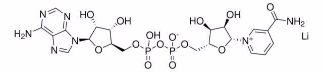B-NICOTINAMIDA ADENINA DINUCLEOTIDA paquete 1X500MG