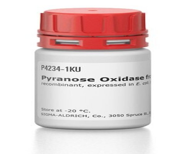 PIRANOSA OXIDASA DE CORIOLUS SP.& pack 1X1KU