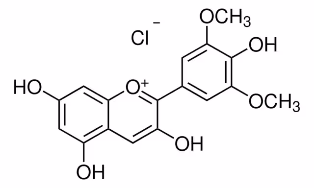 CLORURO DE MALVIDINA, >=95,0% Paquete HPLC 1X1MG