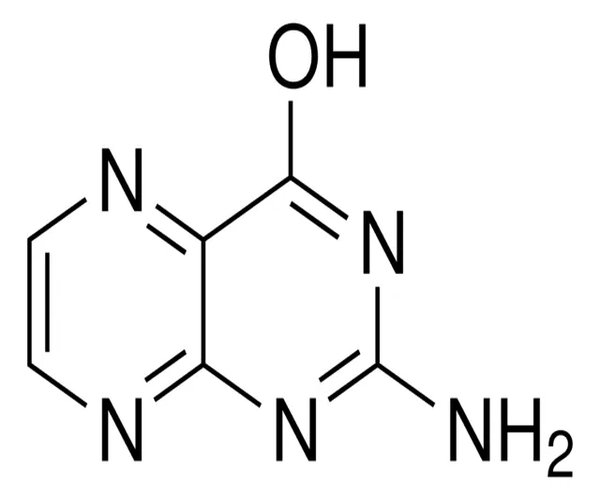 PTERINA pack 1X50MG