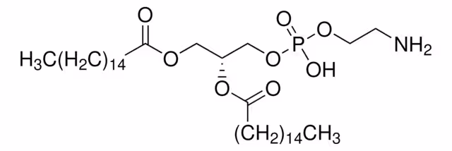 L-A-FOSFATIDILETANOLAMINA, paquete 1X1G