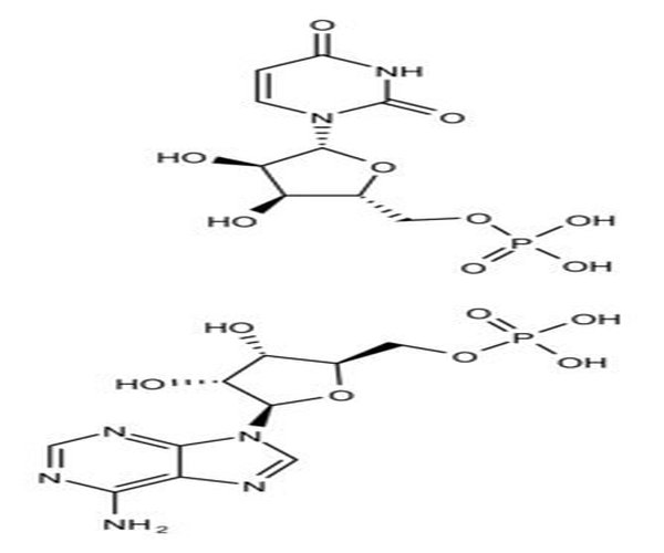 ÁCIDO POLIADENÍLICO-POLIURIDÍLICO SODIO pack 1X10MG