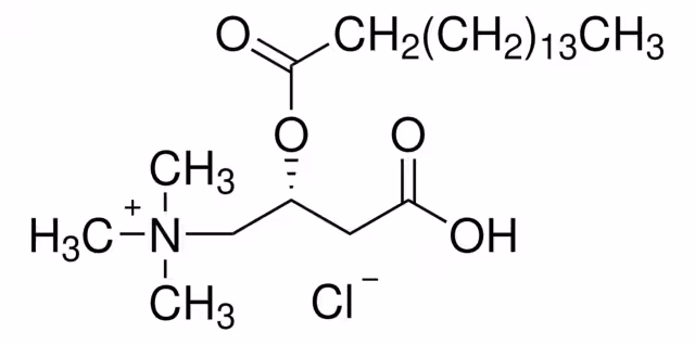 CLORURO DE PALMITOIL-L-CARNITINA pack 1X5MG