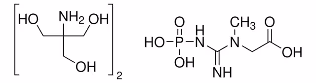 SAL FOSFOCREATINA DI(TRIS), >=97%& pack 1X5G