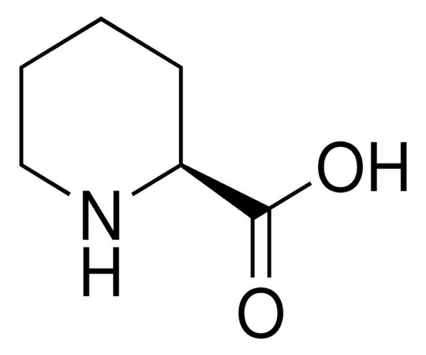 L-ÁCIDO PIPECOLICO pack 1X250MG